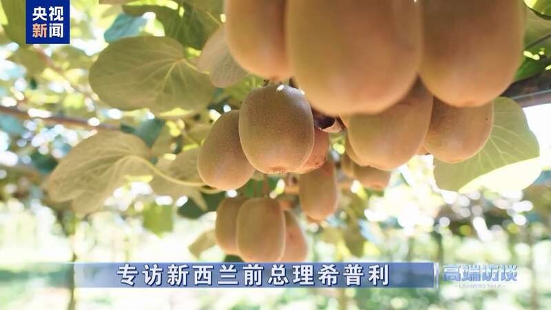 新西兰前总理希普利开元棋牌试玩专访(图17)